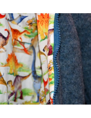 Walkjacke "Dino-Abenteuer" (Blau) mit hübschem Baumwollfutter - Farbwirkung