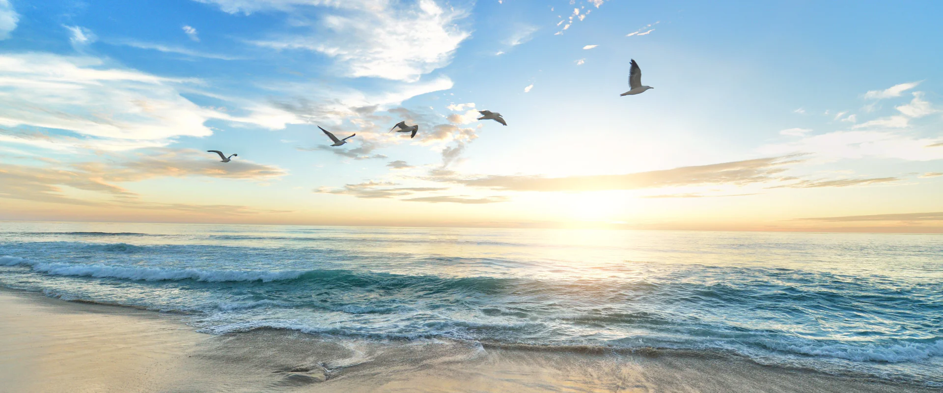 Vögel fliegen über dem Meer